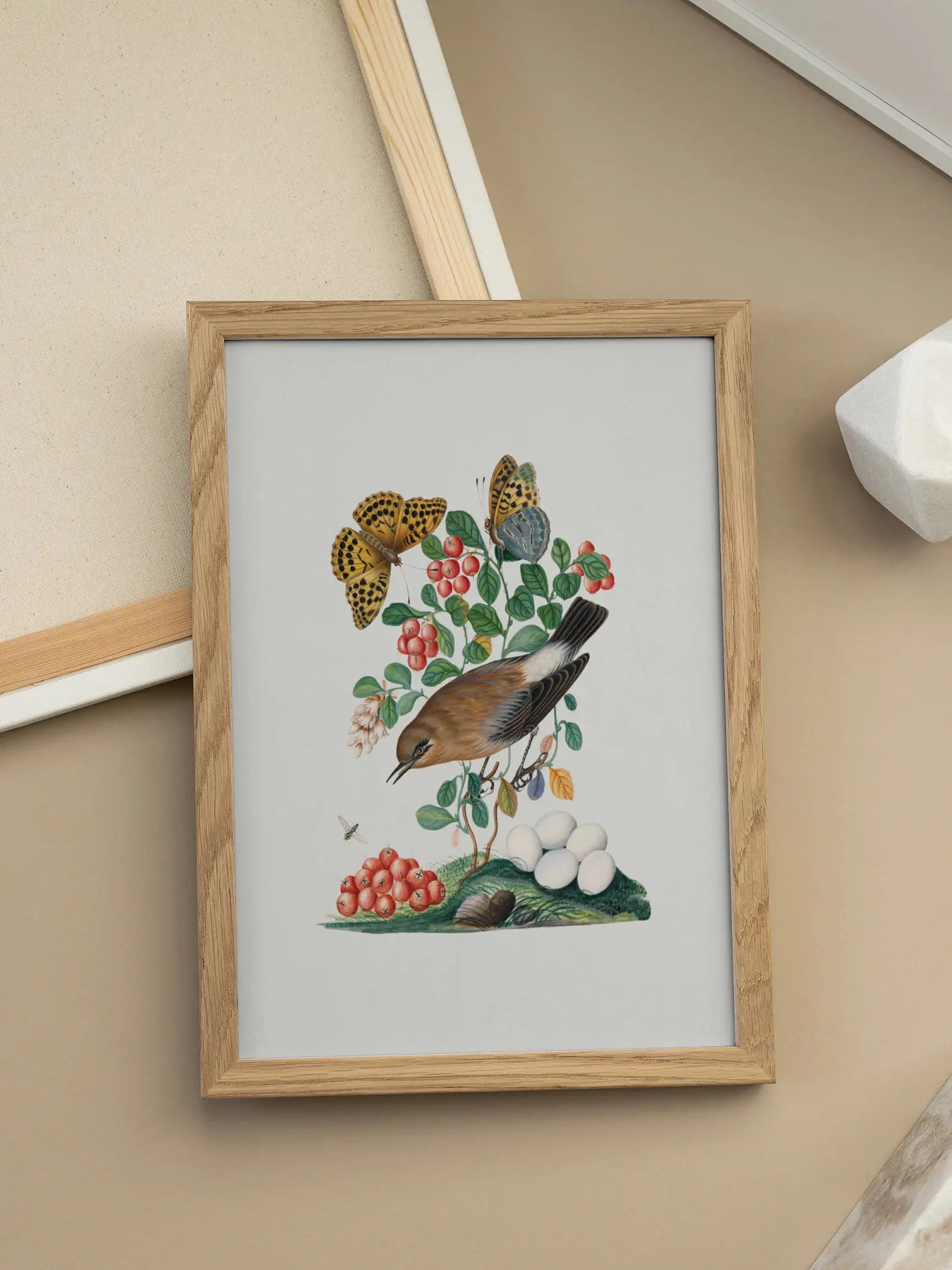 Bird Botanical Illustration Poster