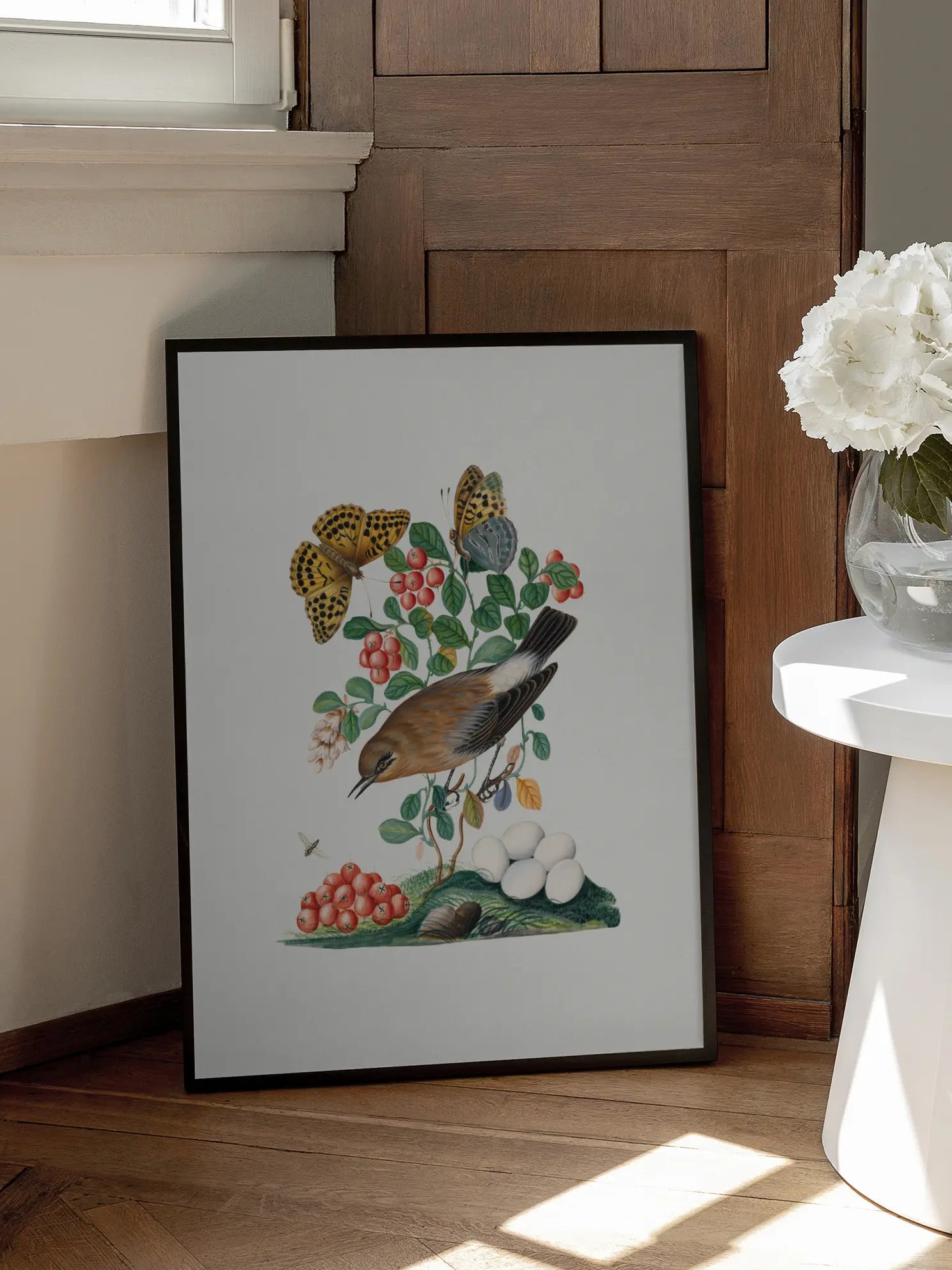 Bird Botanical Illustration Poster