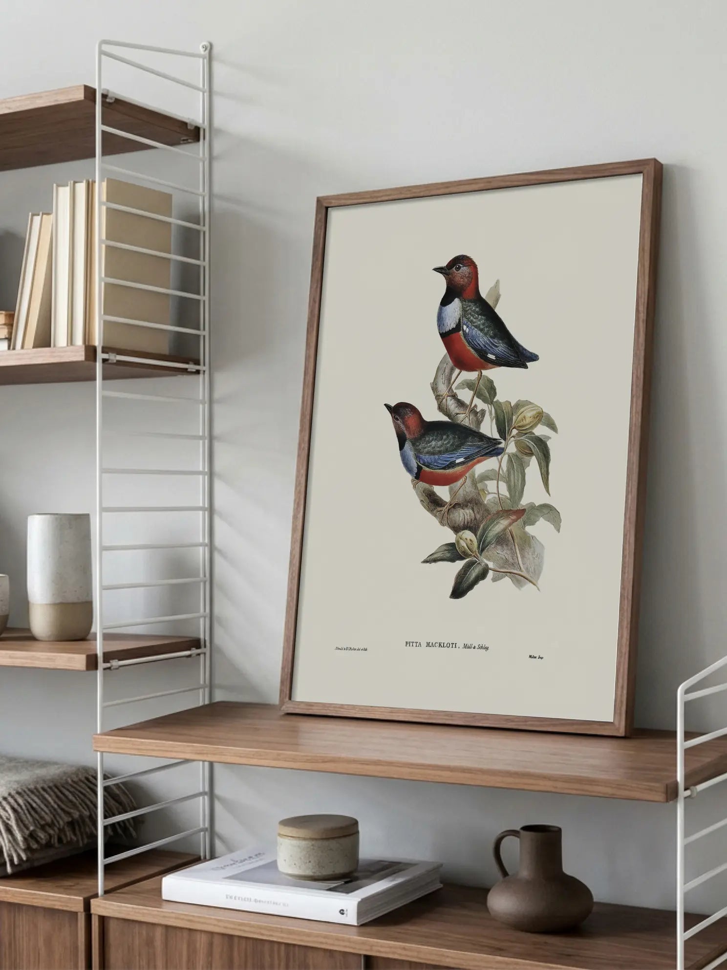Bird Branch Illustration Poster
