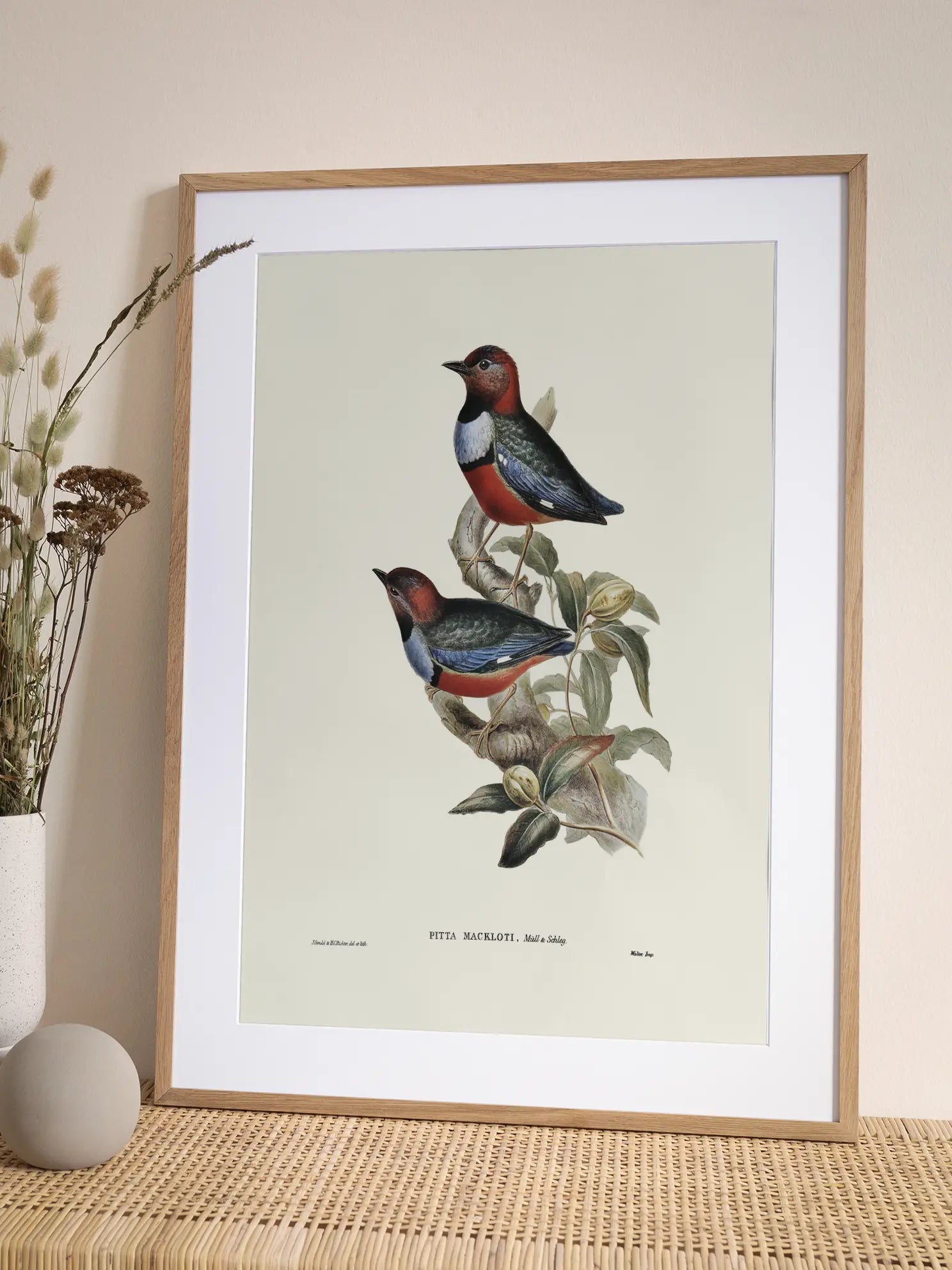 Bird Branch Illustration Poster