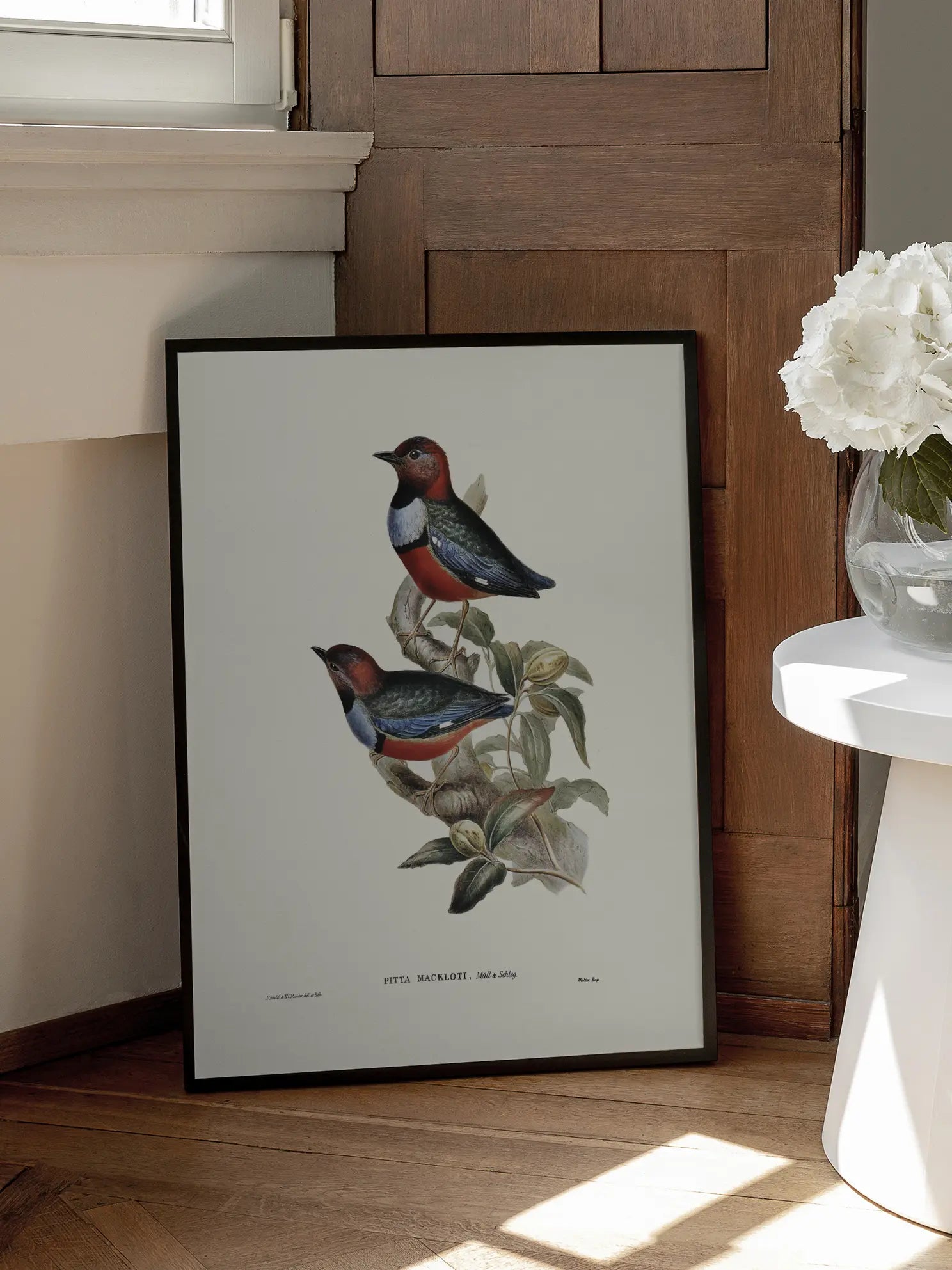 Bird Branch Illustration Poster