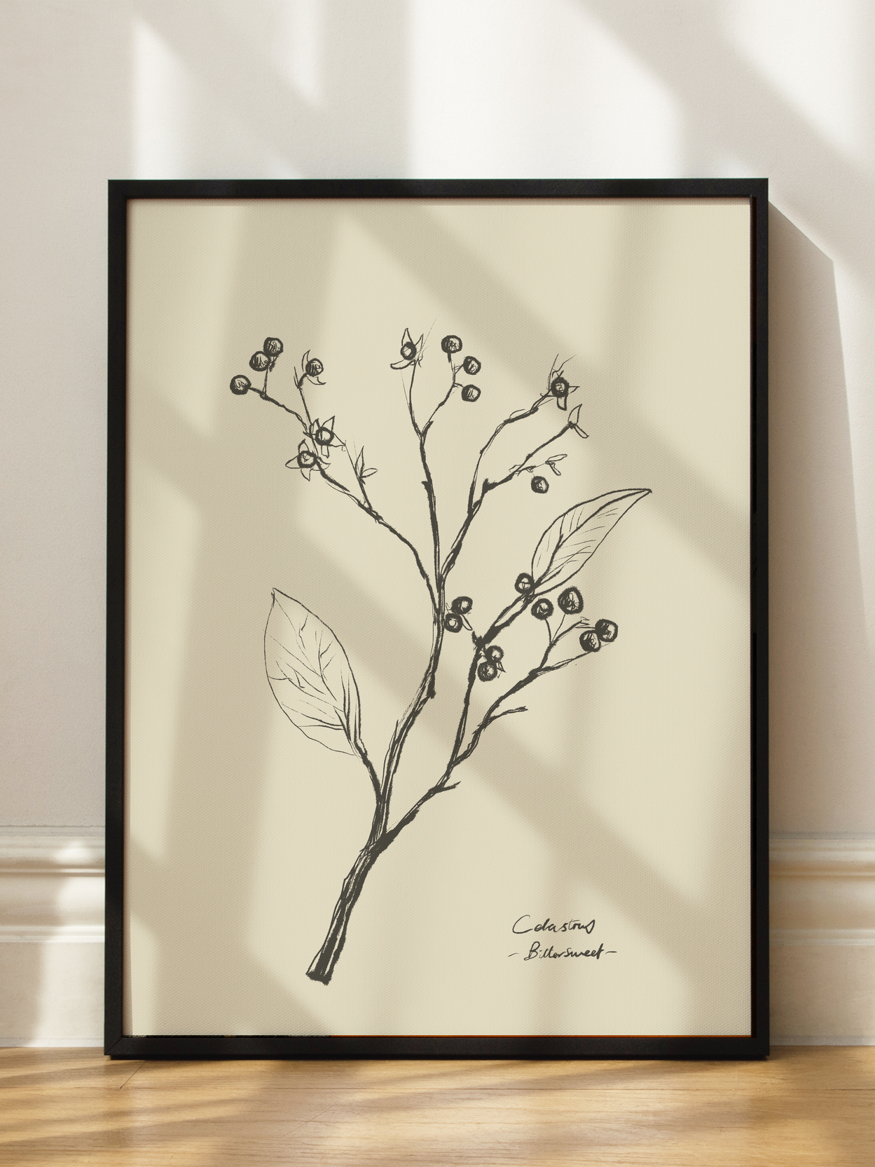 Bittersweet Botanical