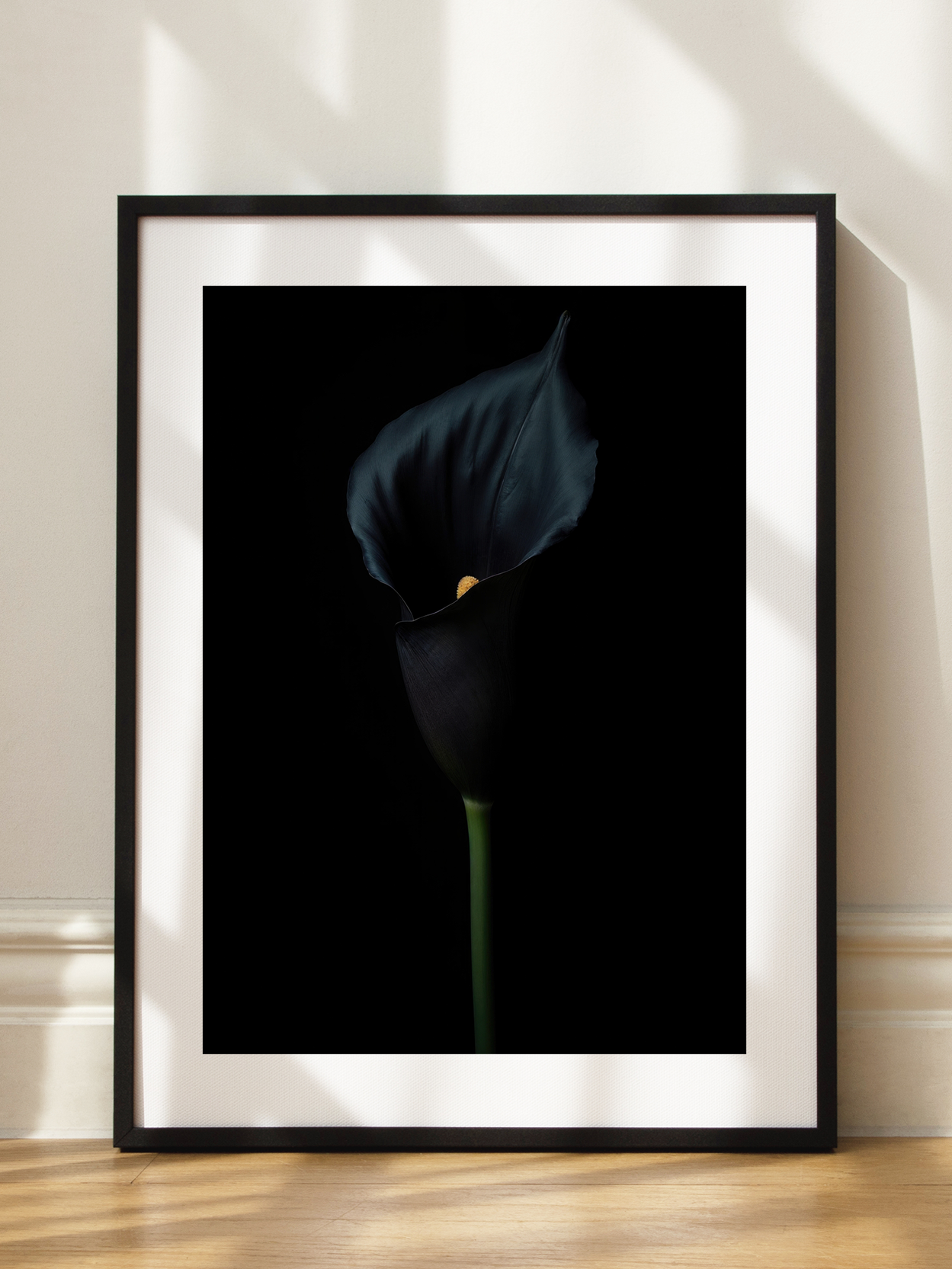 Black Calla Poster