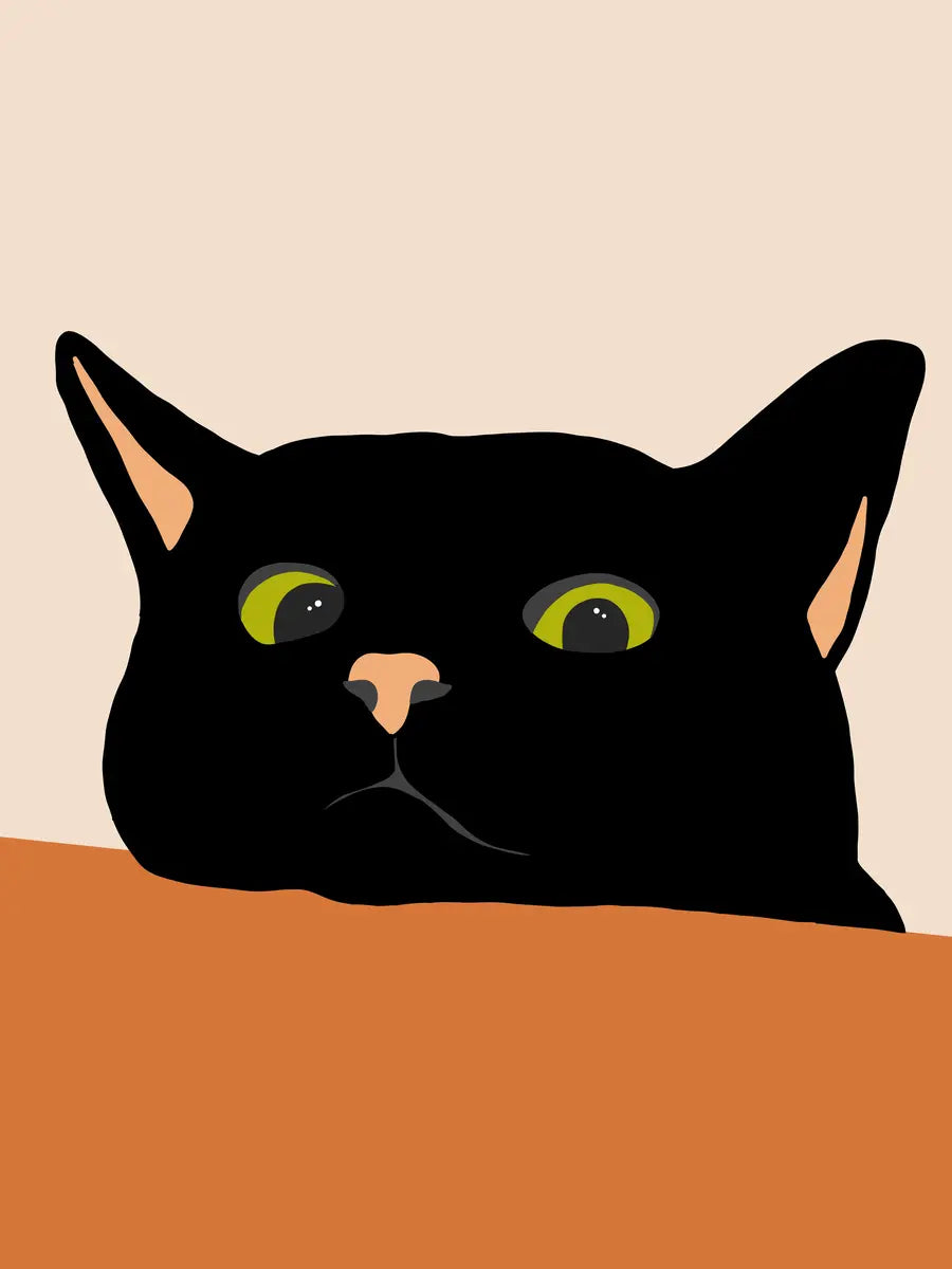 Illustration einer schwarzen Katze mit gelben Augen, die über eine orangefarbene Oberfläche schaut, vor einem hellbeigen Hintergrund.