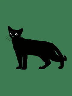 Illustration einer schwarzen Katze mit weißen Augen auf einem grünen Hintergrund.
