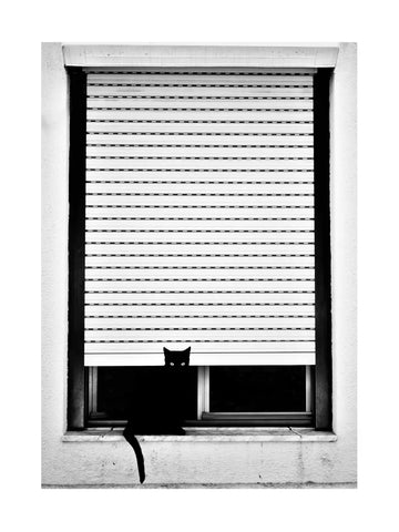 Schwarz-weißes Foto einer schwarzen Katze auf einem Fensterbrett hinter einem Rollo.