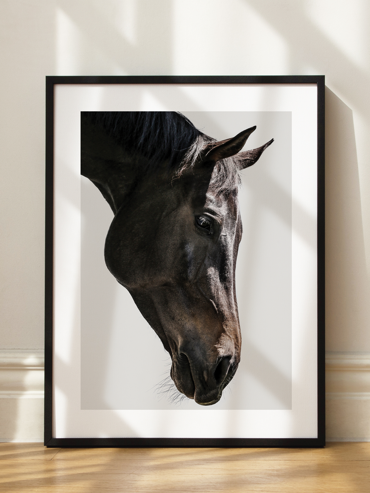 Black Horse