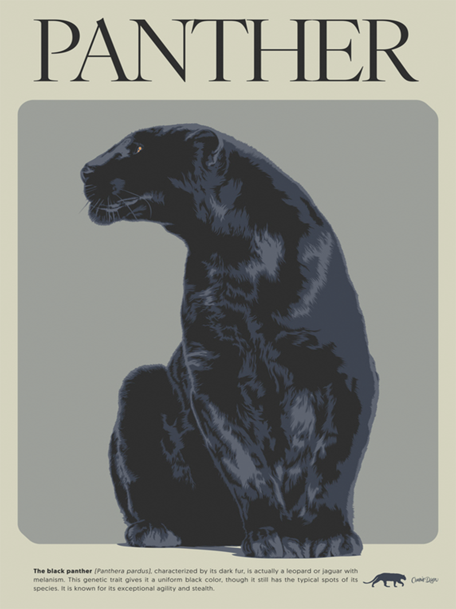 Illustration eines schwarzen Panthers mit begleitendem Text über seine Eigenschaften.