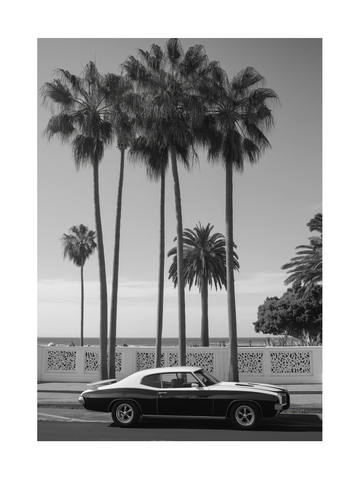 Schwarz-Weiß-Foto eines klassischen Autos unter Palmen mit Strand im Hintergrund.