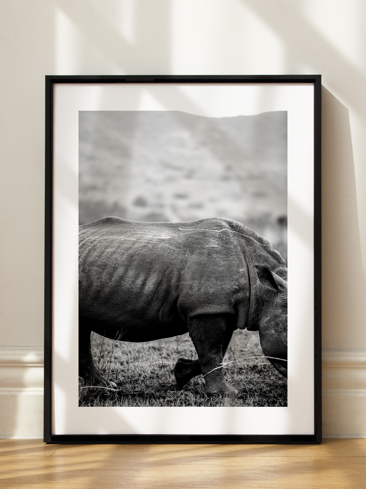 Black and White Rhino