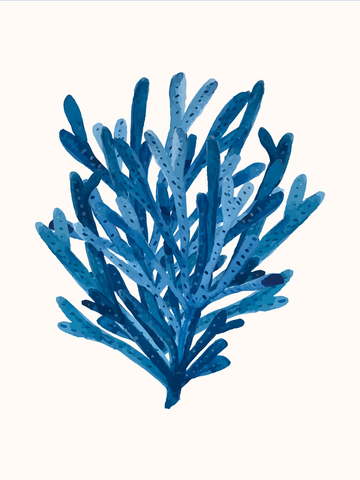 Illustration eines blauen Korallenstrauchs auf beigem Hintergrund.