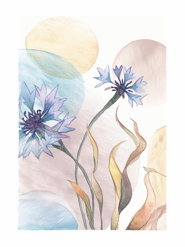 Aquarell von blauen Kornblumen mit beigen Blättern und Kreisen im Hintergrund.