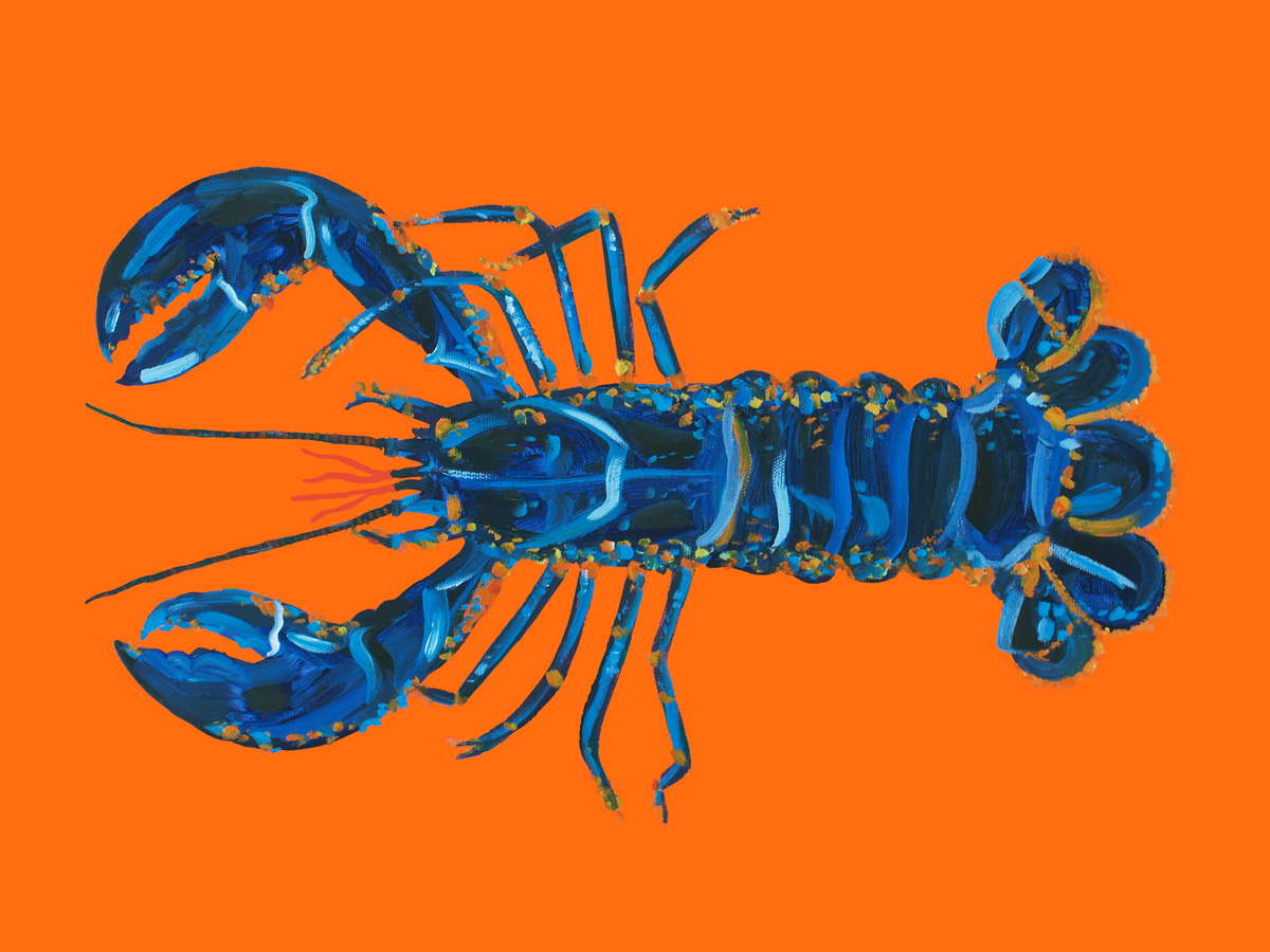Ein blauer Hummer auf einem orangefarbenen Hintergrund.