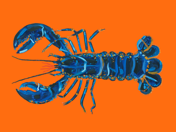 Ein blauer Hummer auf einem orangefarbenen Hintergrund.
