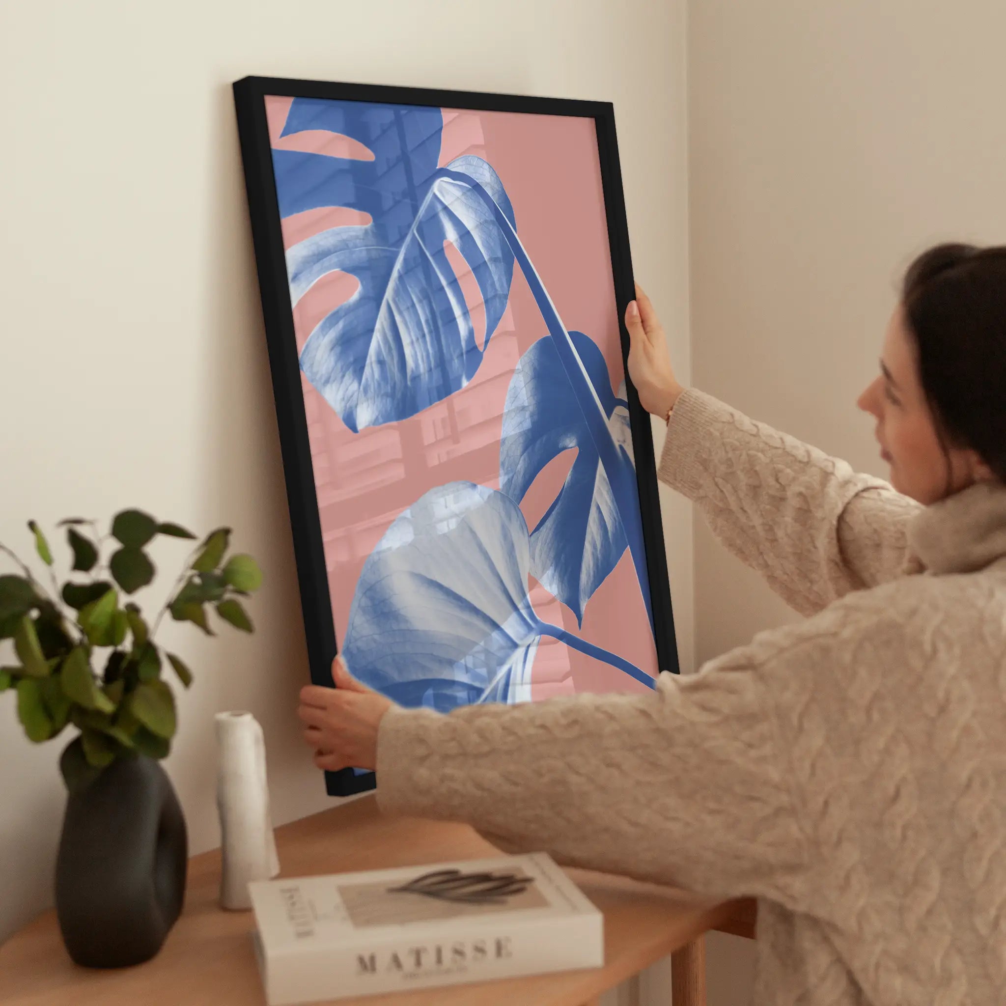 Blue Monstera wird aufgehängt