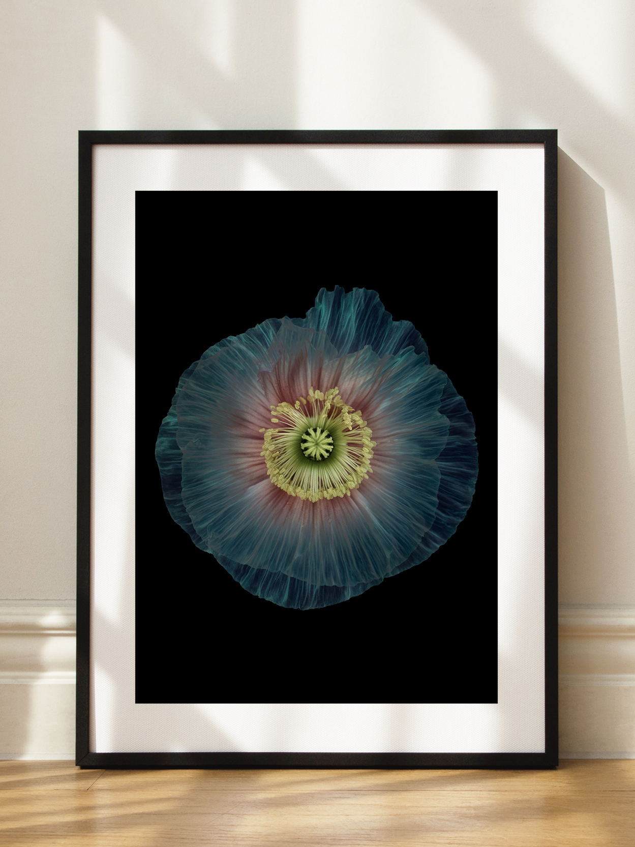 Blue Poppy