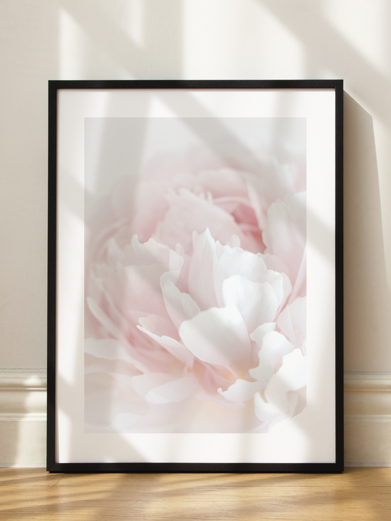 Blush Peony