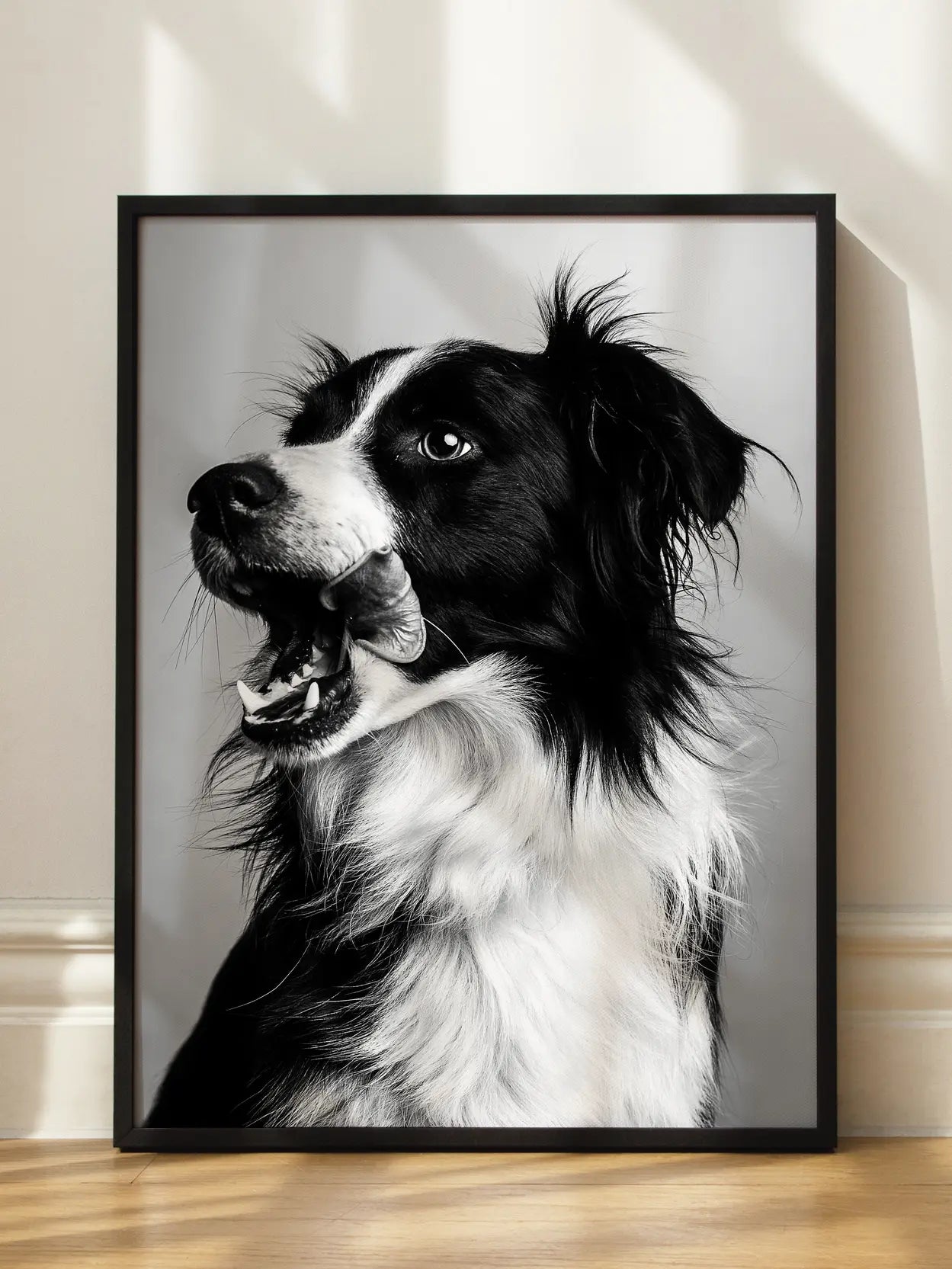 Border Collie Poster