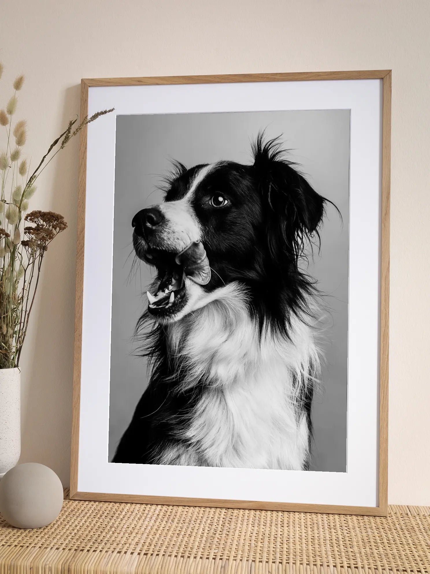 Border Collie Poster