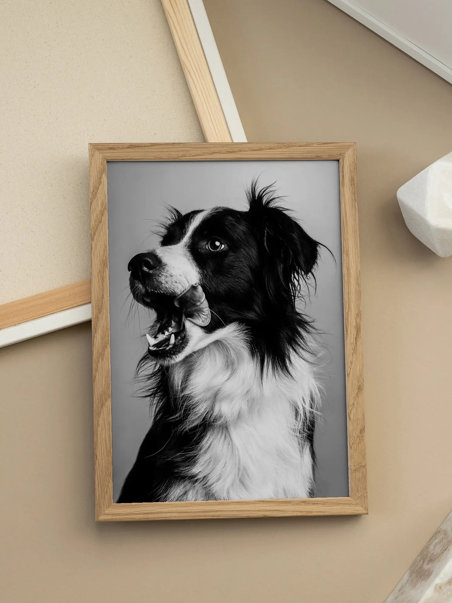 Border Collie Poster