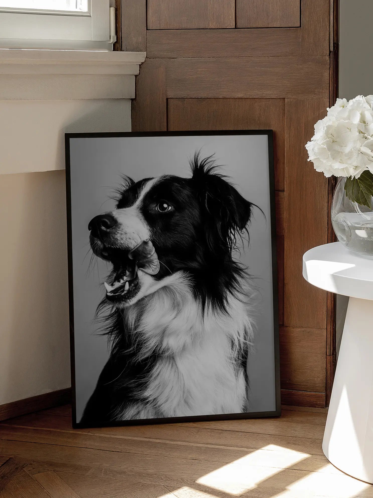 Border Collie Poster