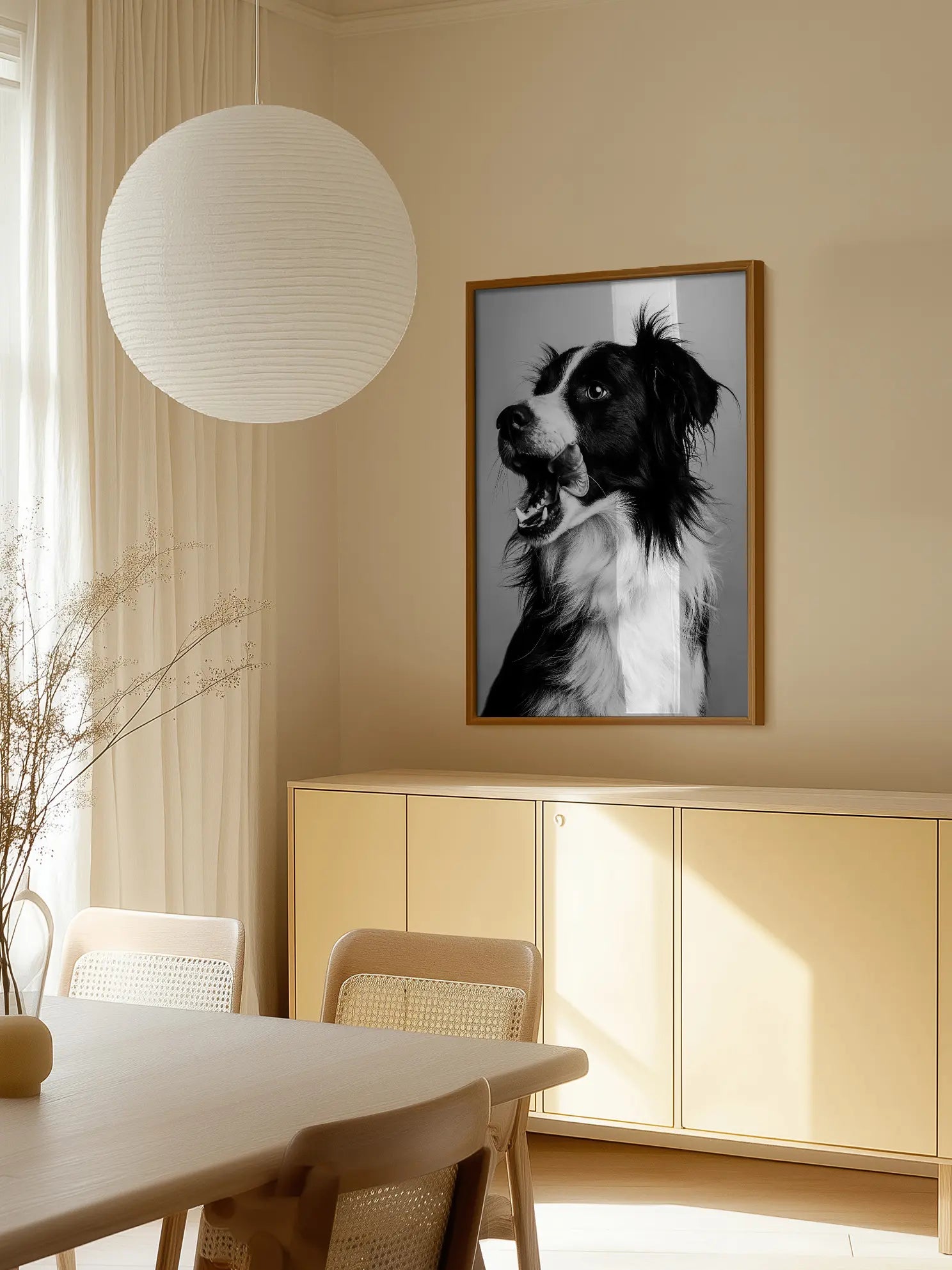 Border Collie Poster