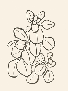 Illustration eines Bündels Blätter in Schwarz auf beigem Hintergrund.
