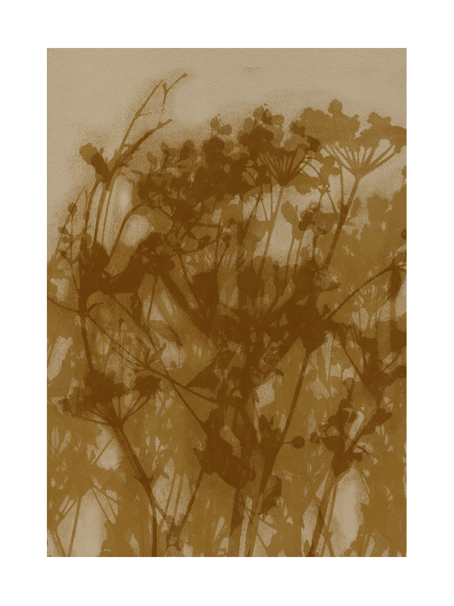 Botanische Silhouette in Brauntönen auf beigem Hintergrund.