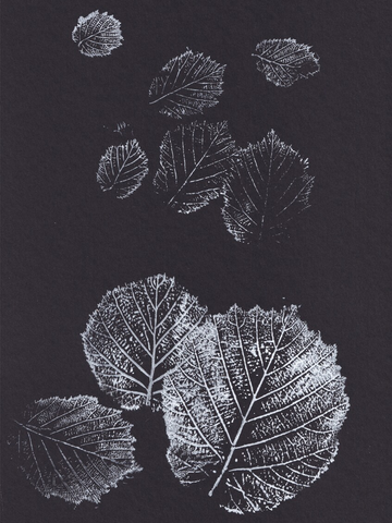 Weiße Blätter auf schwarzem Hintergrund.