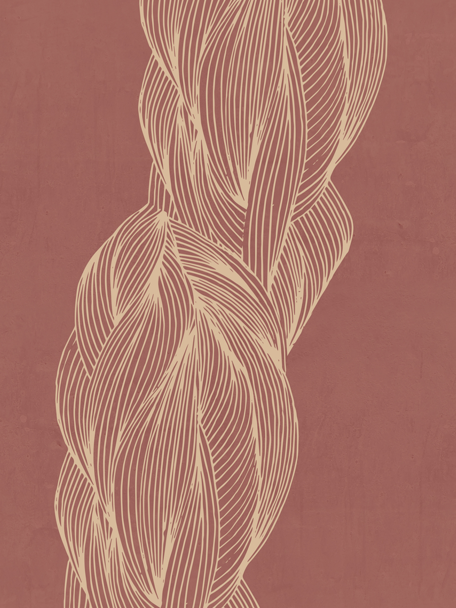 Braided Braid Poster