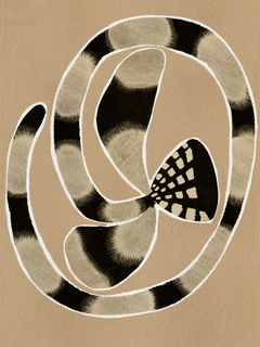 Abstrakte Schlange in Schwarz und Beige mit weißen Linien auf hellbraunem Hintergrund.