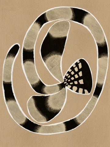 Abstrakte Schlange in Schwarz und Beige mit weißen Linien auf hellbraunem Hintergrund.