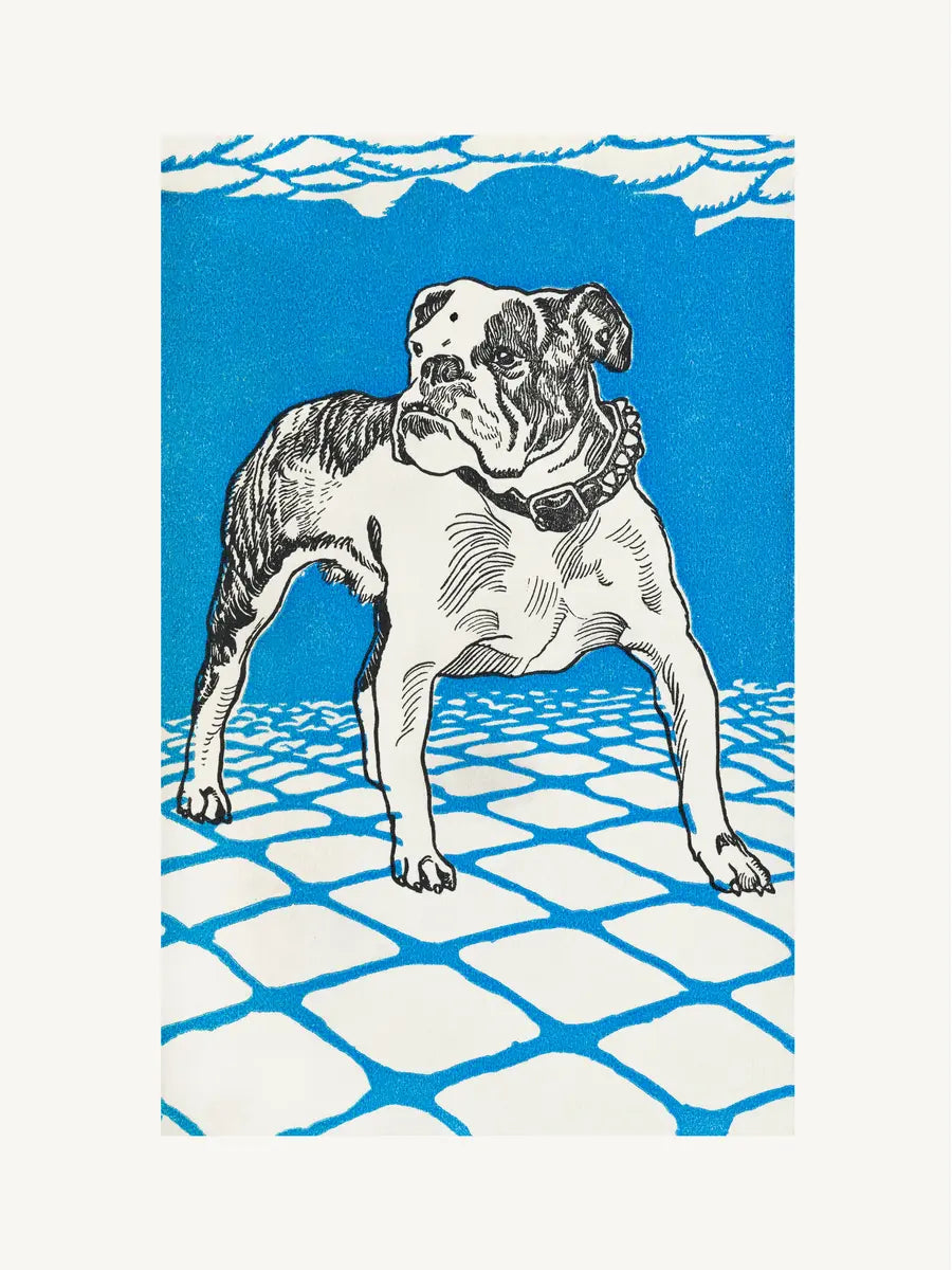 Bulldog Poster