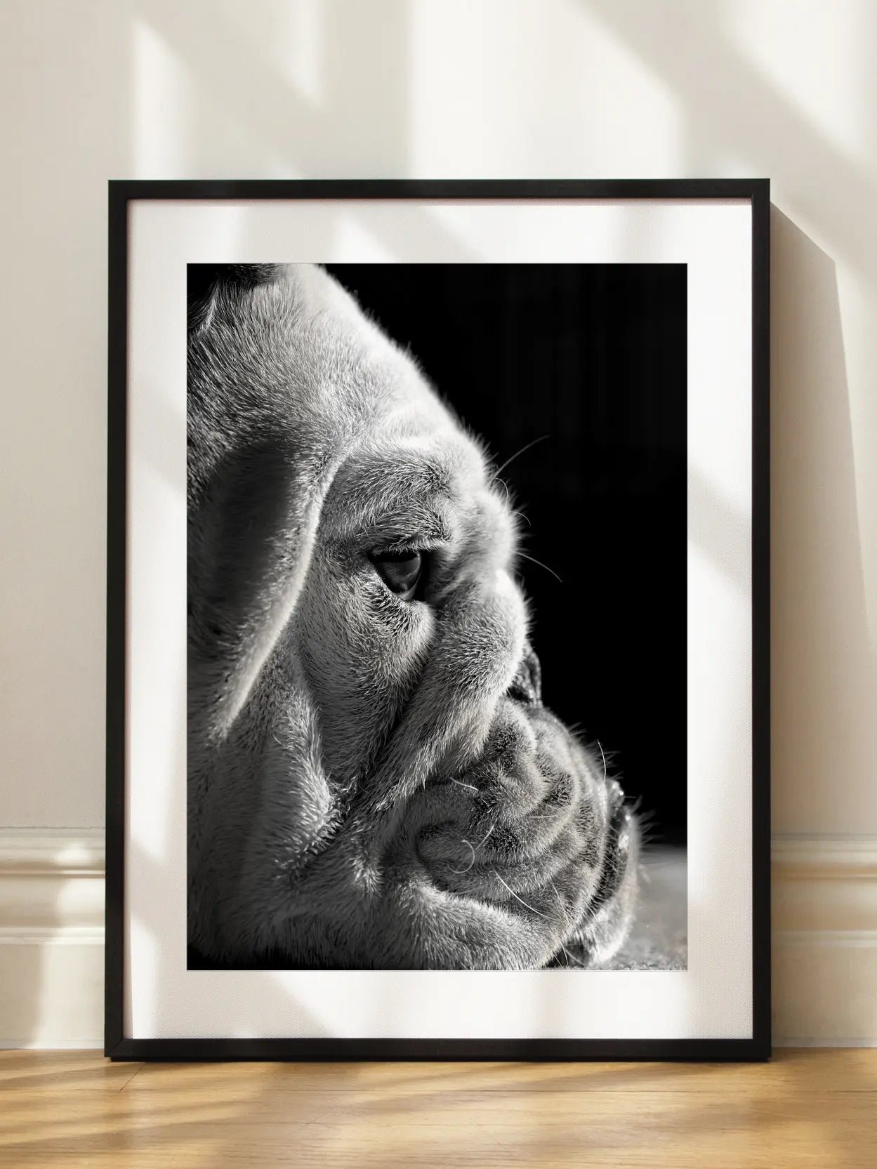 Bulldog Close Up Poster