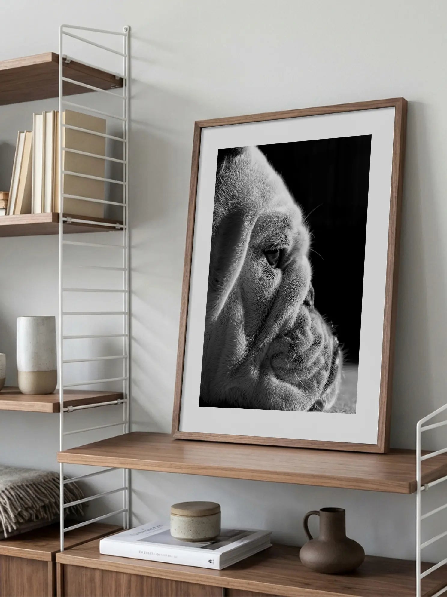 Bulldog Close Up Poster