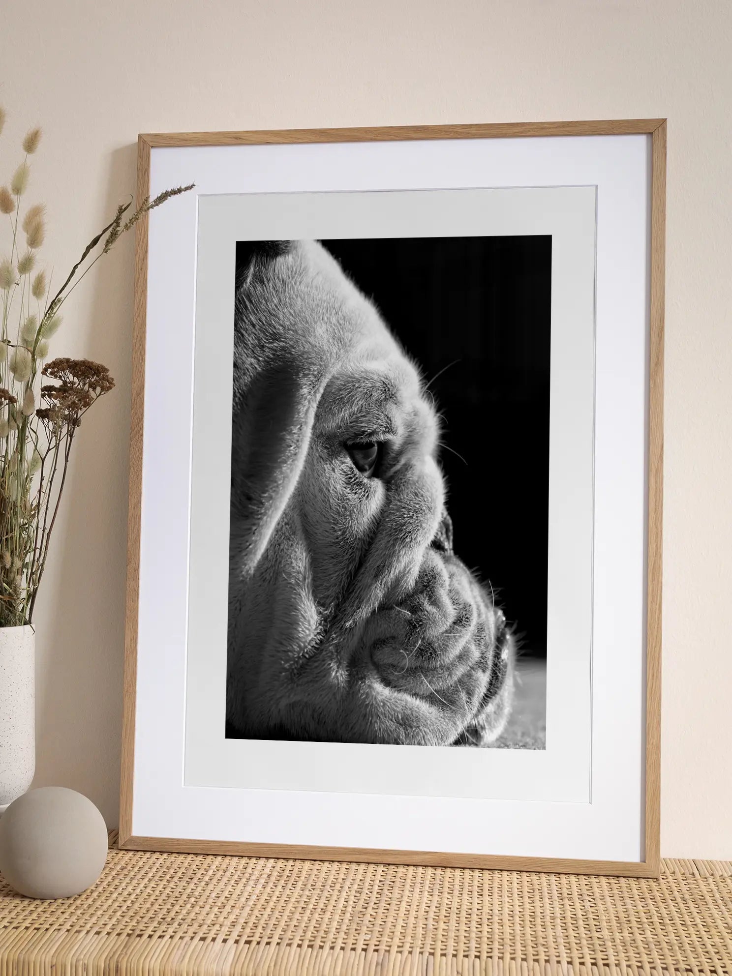 Bulldog Close Up Poster