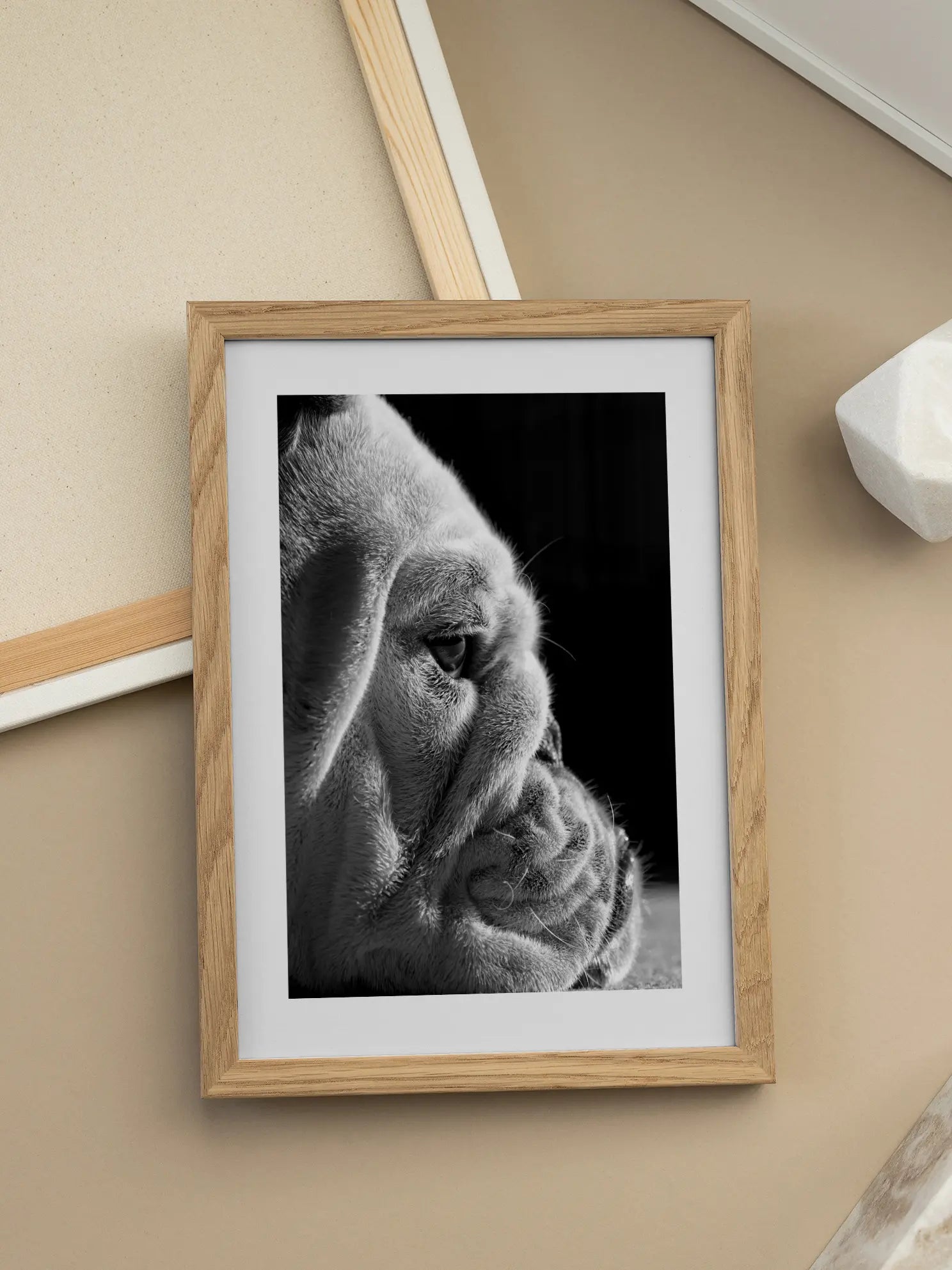 Bulldog Close Up Poster