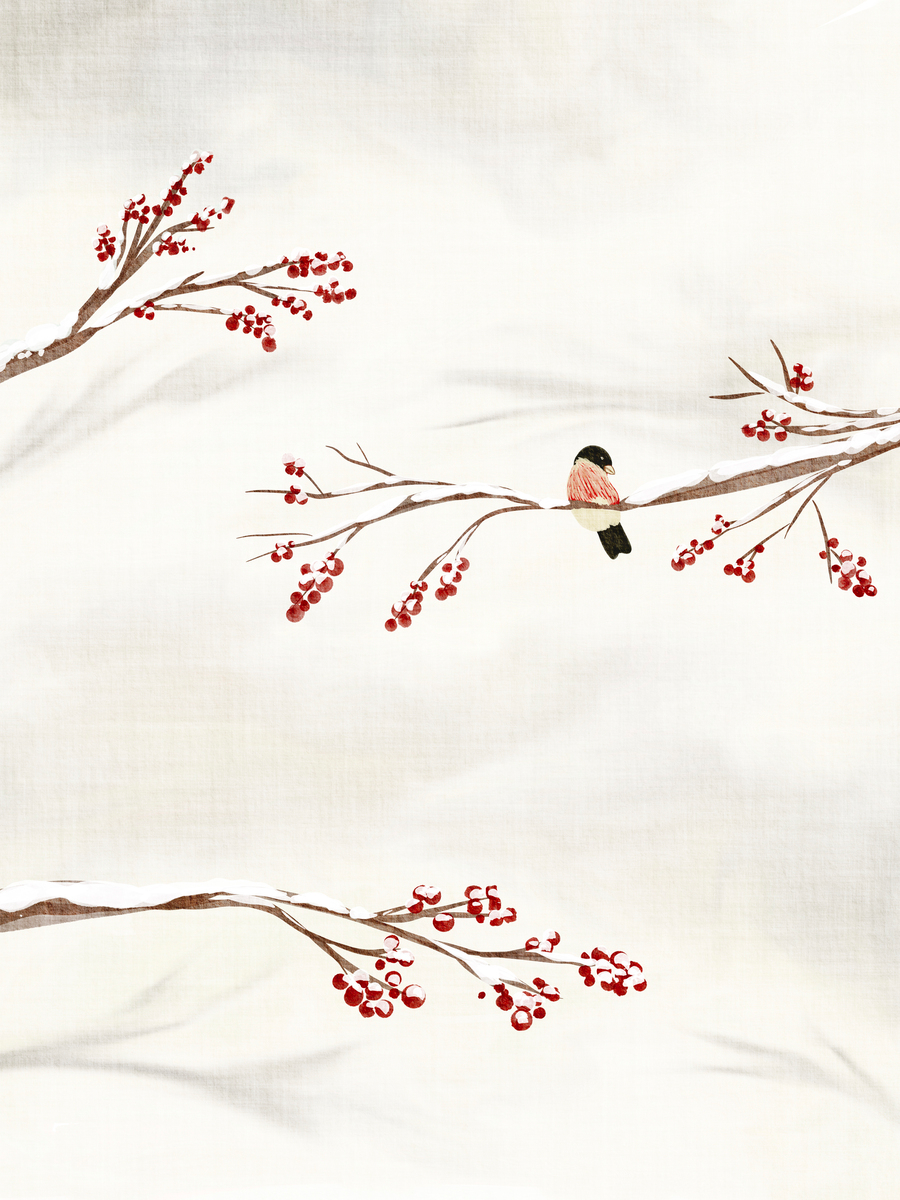 Ein Dompfaff sitzt auf einem schneebedeckten Ast mit roten Beeren vor einem hellen Hintergrund.