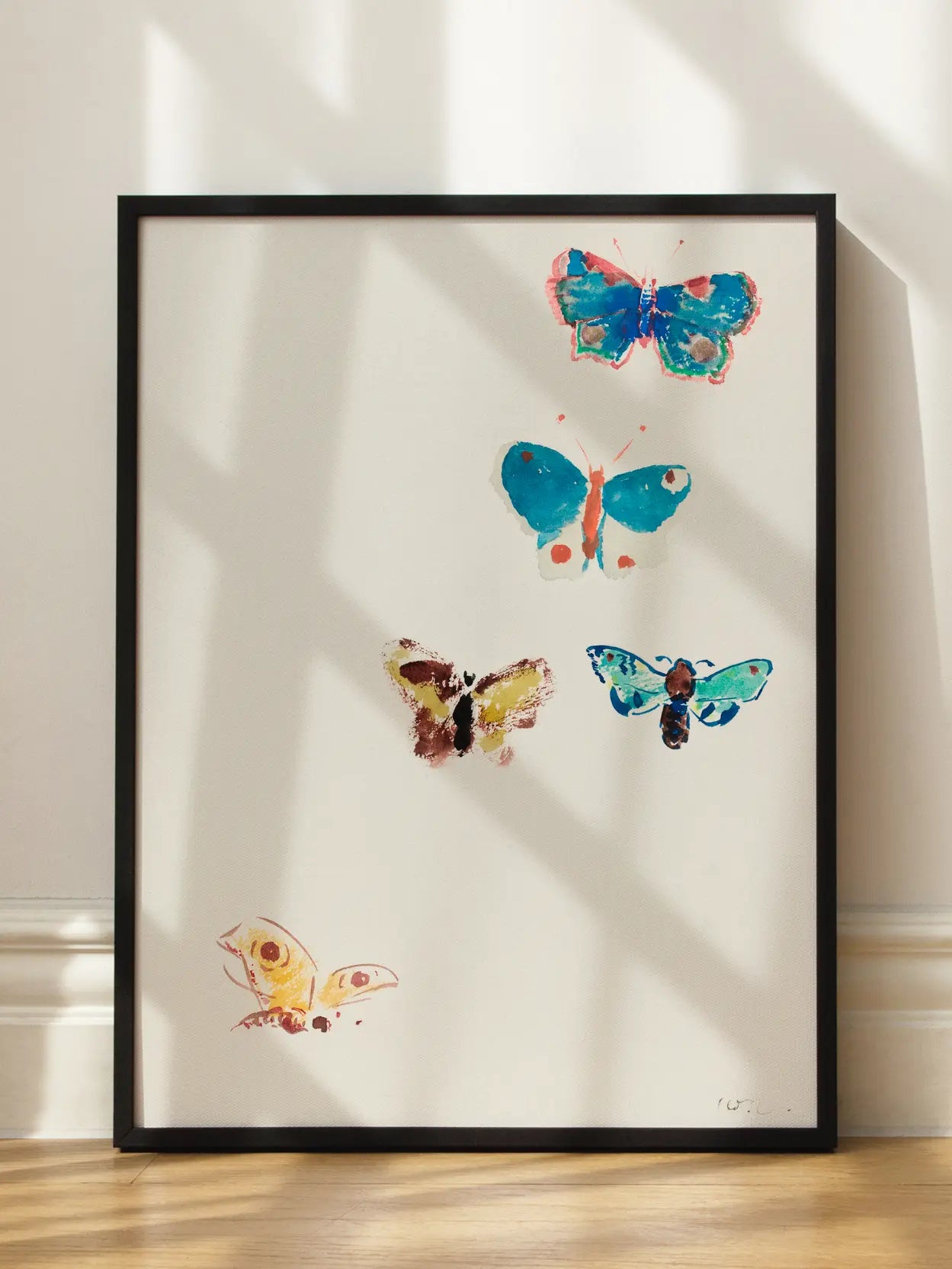 Butterfly Collection