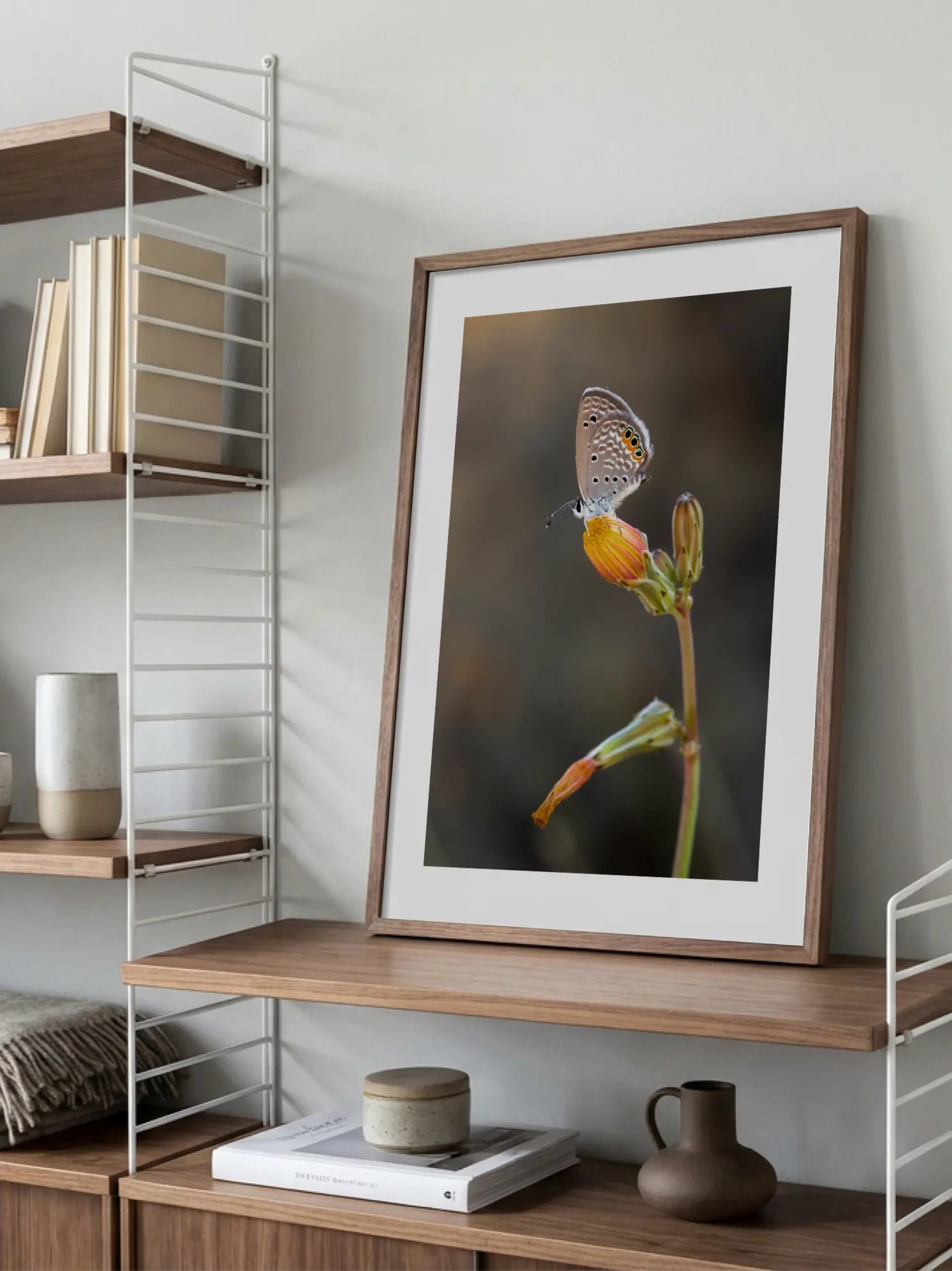 Butterfly Flower Macro Poster