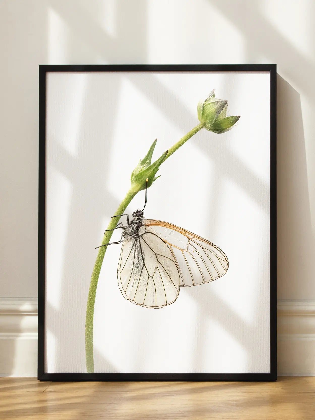 Butterfly Flower Stem