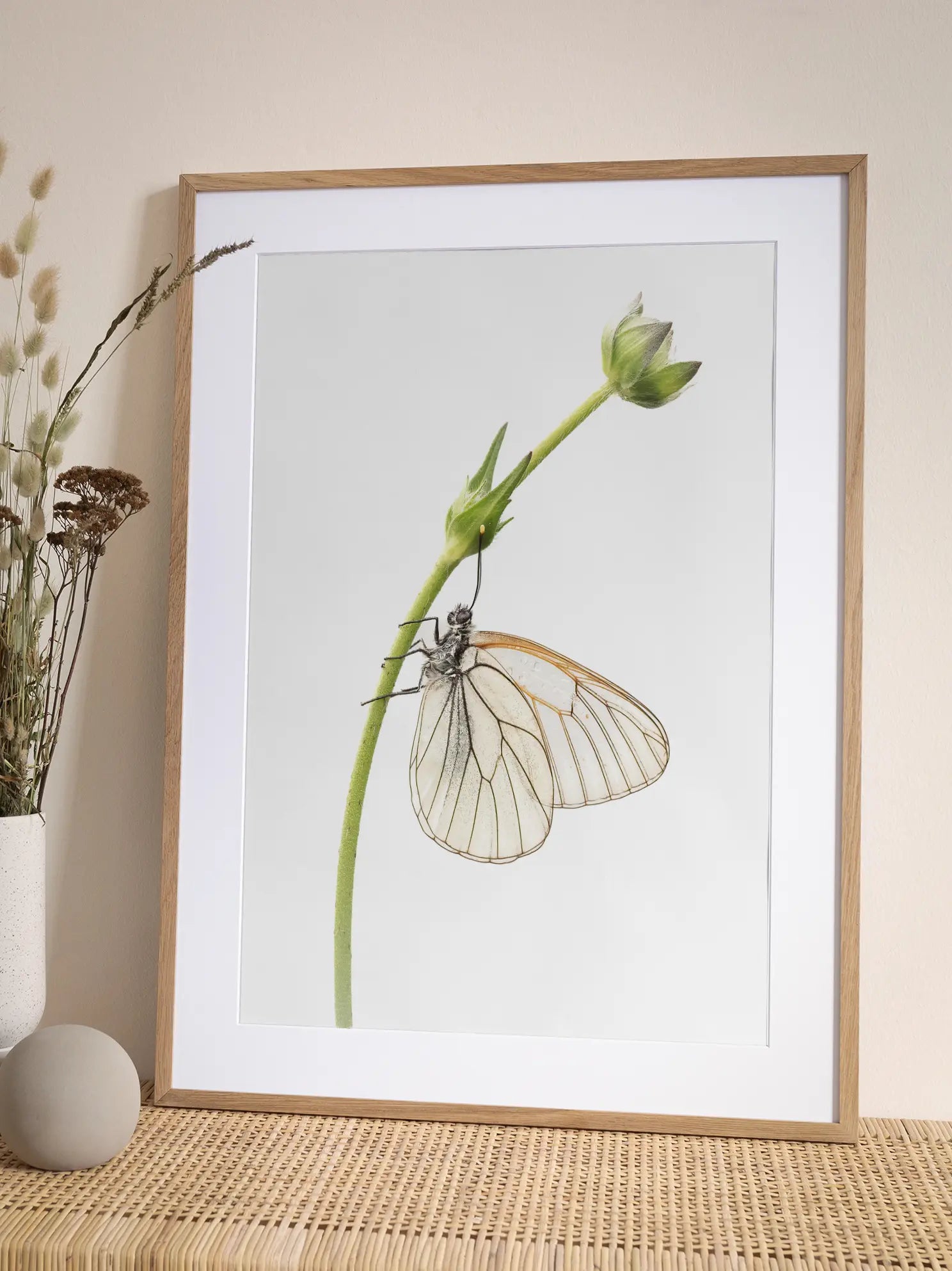 Butterfly Flower Stem Poster