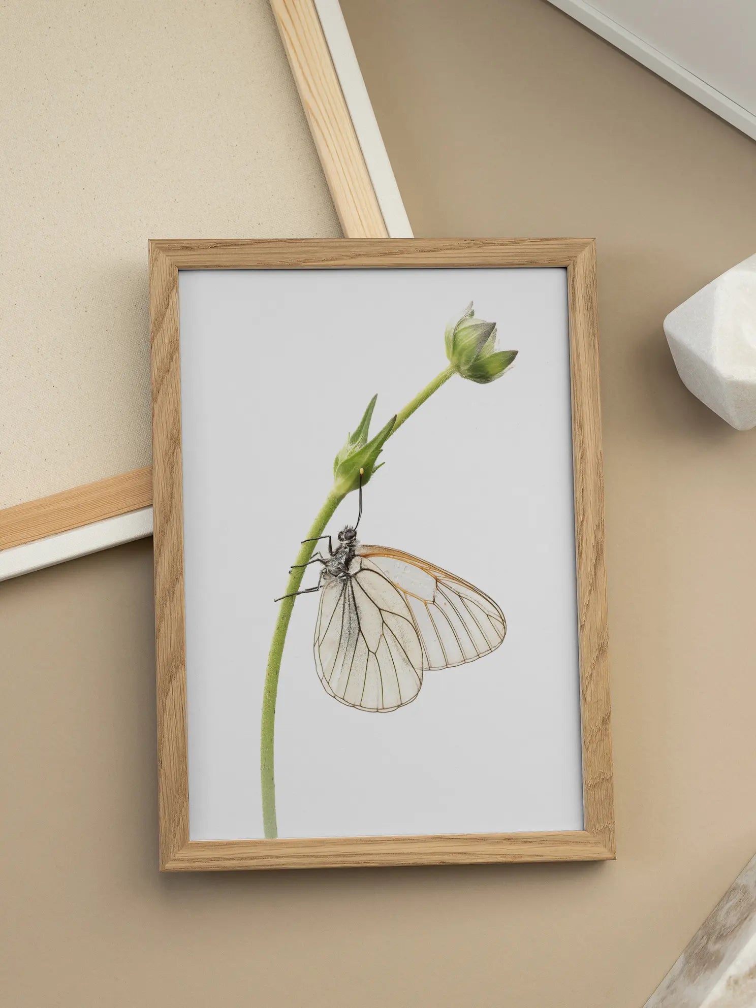 Butterfly Flower Stem Poster