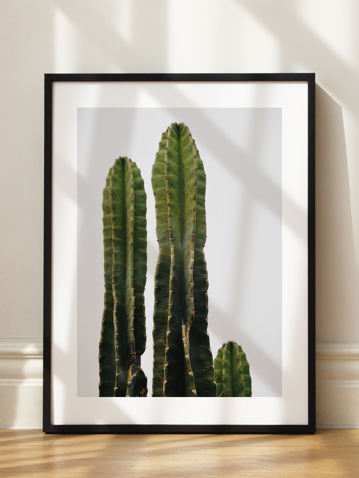 Cactus
