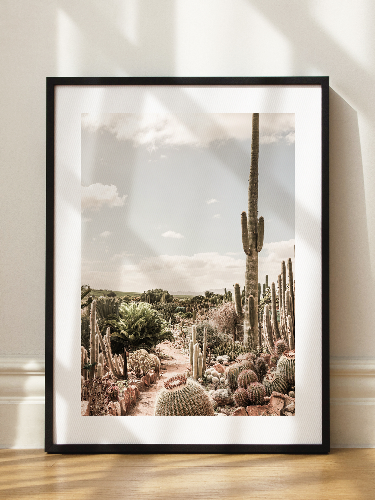 Cactus Garden