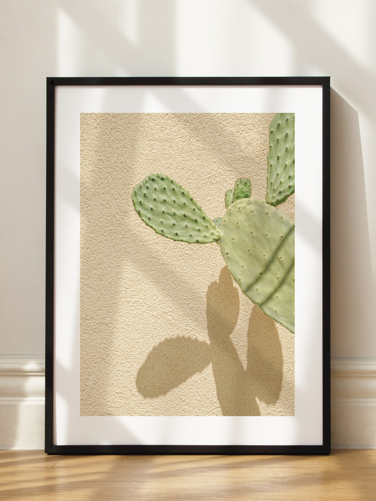 Cactus Shadow Poster