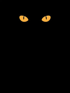 Schwarzer Hintergrund mit orangefarbenen Katzenaugen.