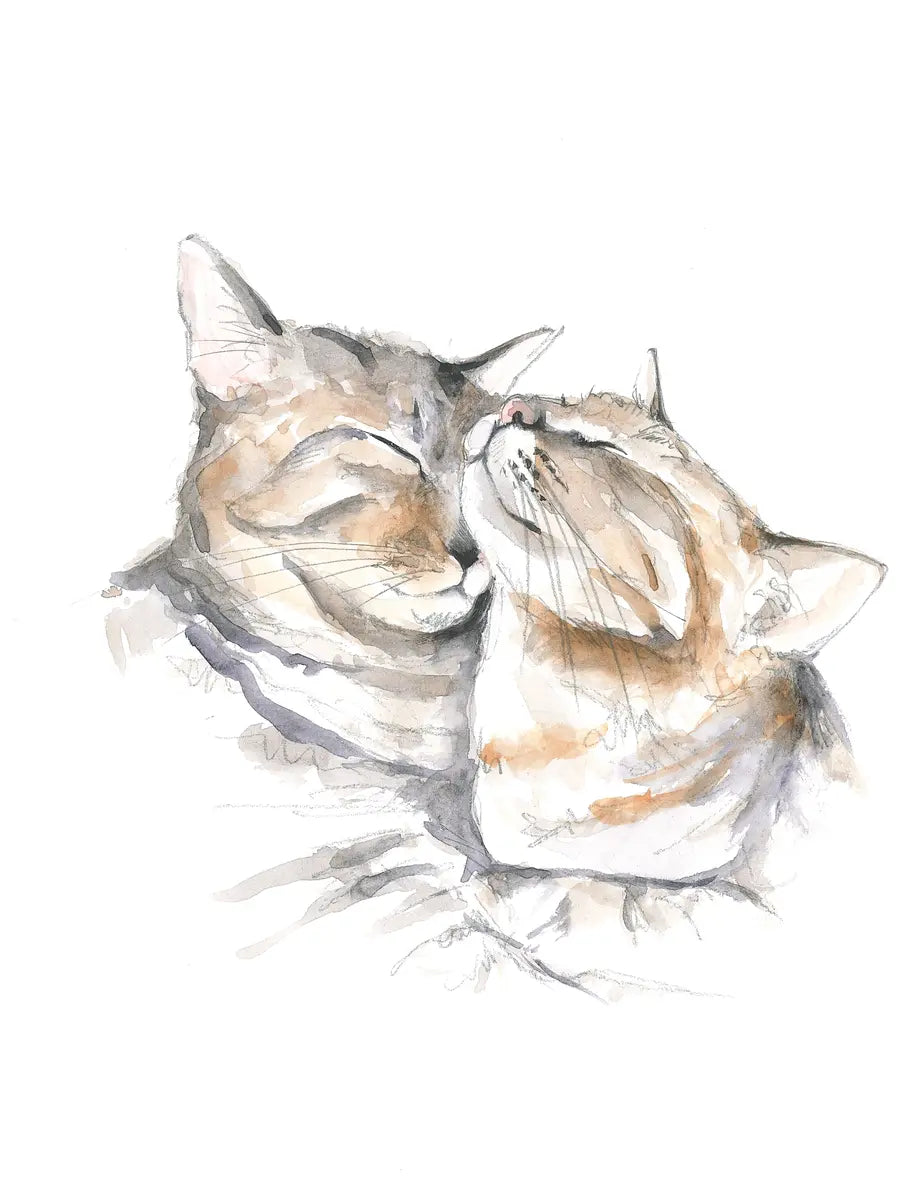 Aquarell-Illustration von zwei umarmenden Katzen vor einem weißen Hintergrund.