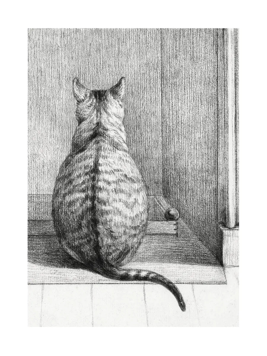 Cat Illustration Poster