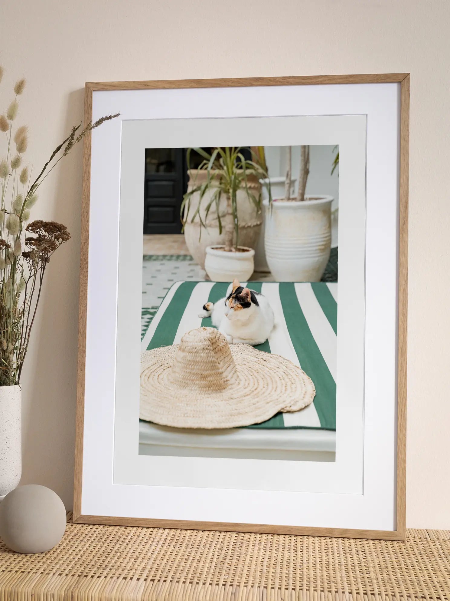 Cat In Marrakech Poster